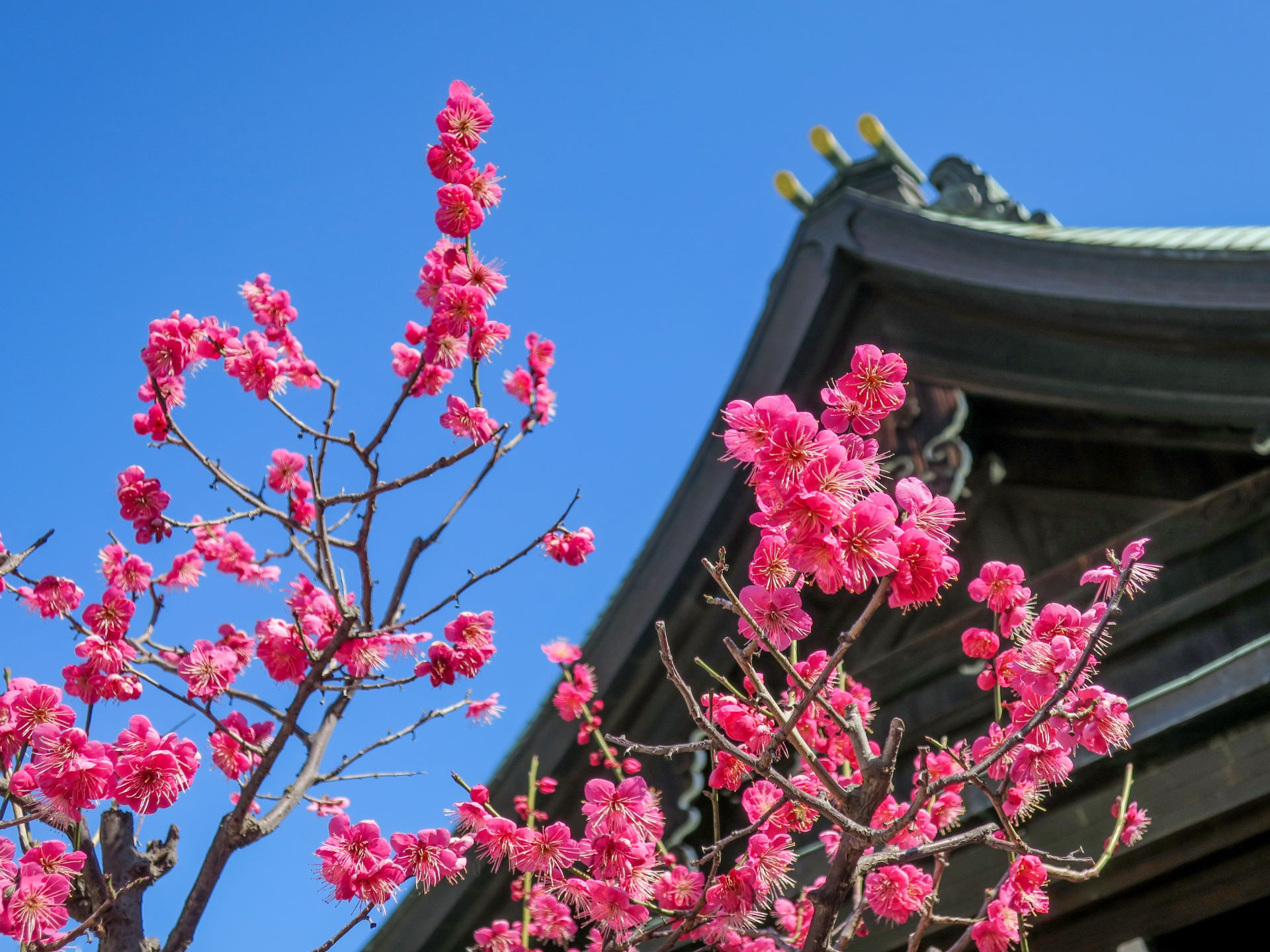 大阪 天満宮